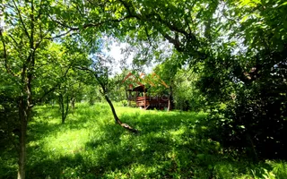 CASĂ INDIVIDUALĂ CU LIVADĂ | 2.195 MP TEREN | POIANA CÂMPINA - Poză 19
