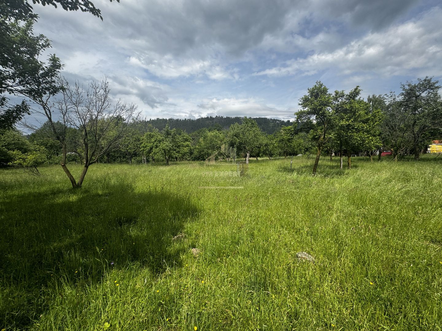 TEREN INTRAVILAN 4600 MP, VOINESTI, LERESTI, ARGEȘ - Poză 8