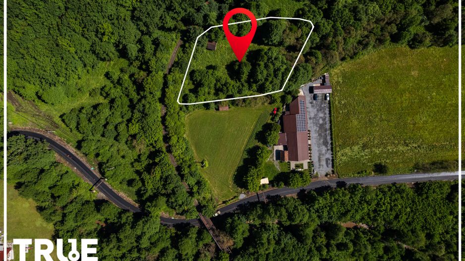 Teren intravilan 2.800 m² în Câmpu Cetății – liniște și natură - Poză 3