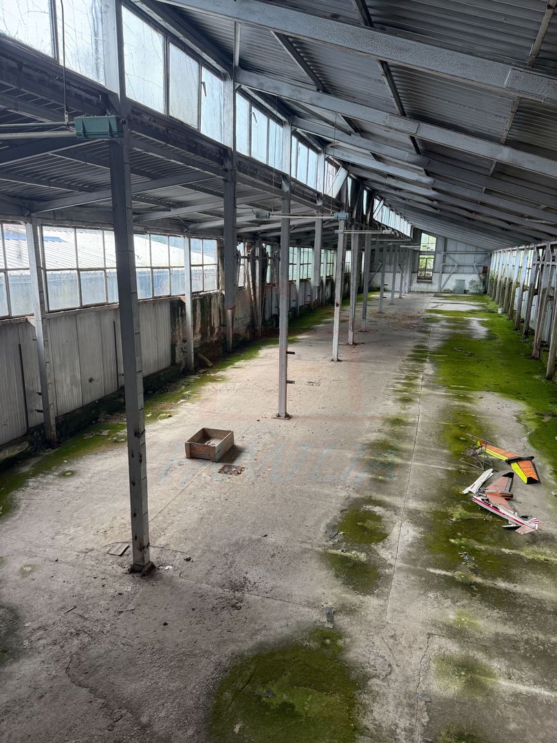 Hala In oras str Traian eligibil program "Tranzitie Justa" - Poză 5