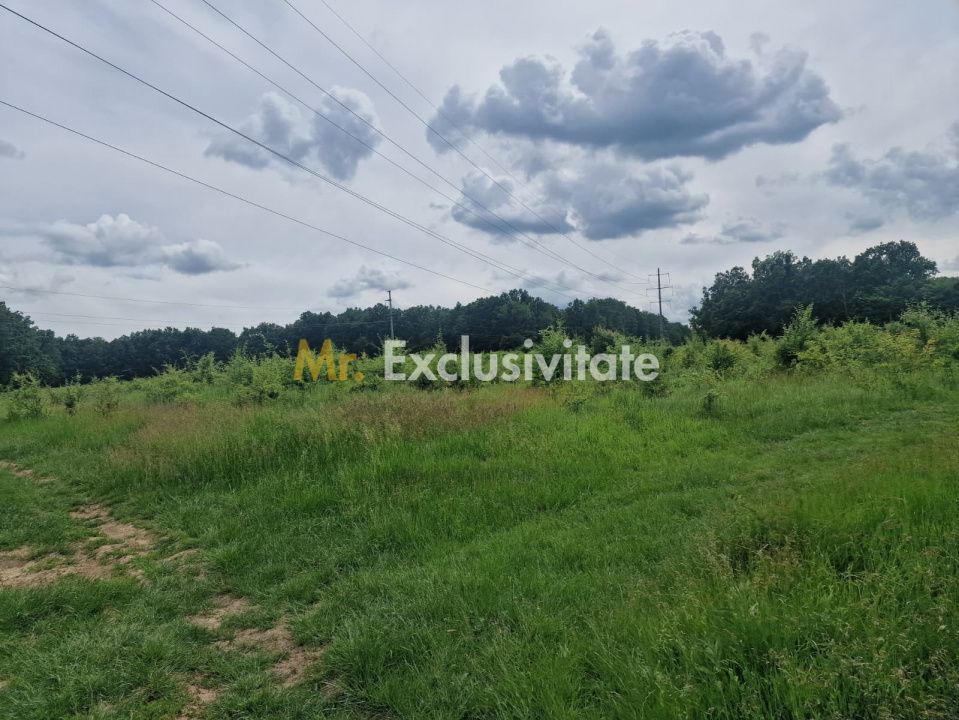 Teren extravilan Pitesti - str. Balotesi!! - Poză 7