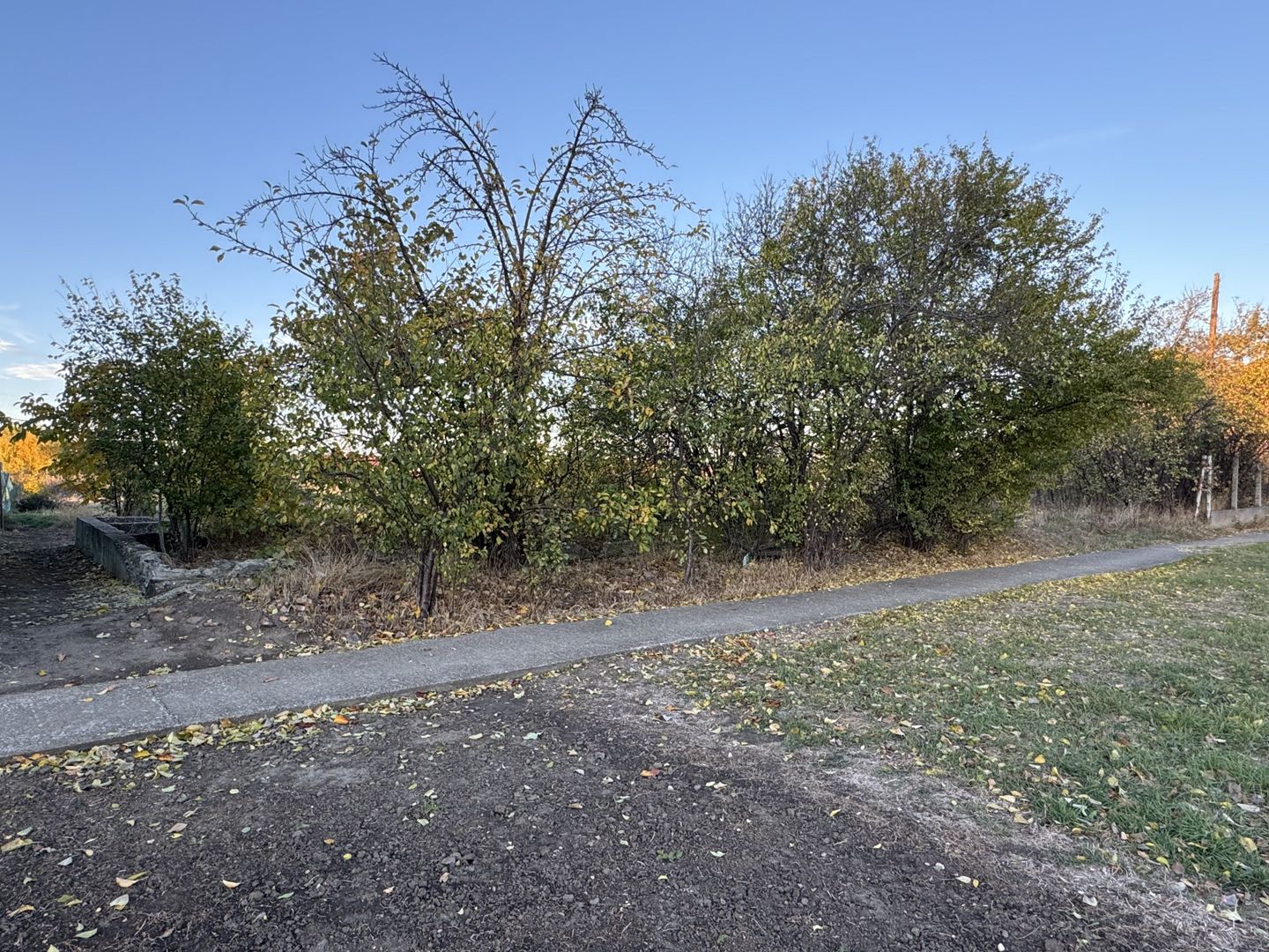 Teren Intravilan in Zona Semicentrala, Becicherecu Mic,2118 mp,Fs. 18m - Poză 2