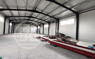 Hala de inchiriat, situata la intrare in Livada, Bihor - Poză 7