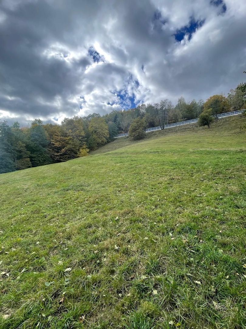 Teren extravilan cu priveliste catre Bucegi – Moieciu de Jos 4.700 mp - Poză 9
