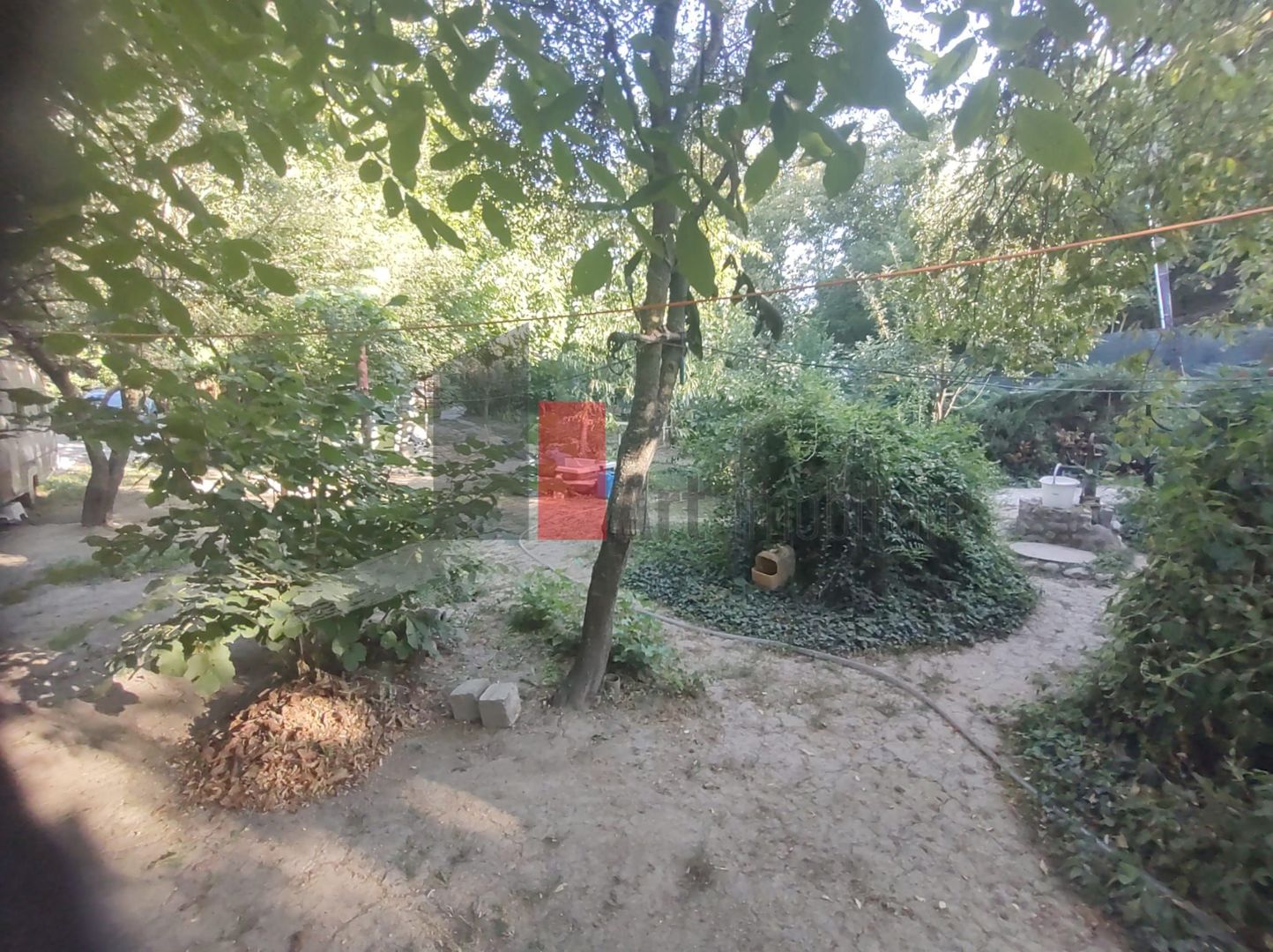 Vânzare teren intravilan Dărăști-Vlașca - Poză 13