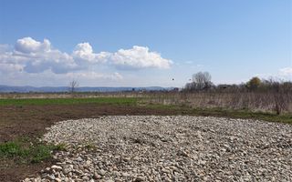 5.000 mp intravilan, parcelabil, Halchiu, Brasov - Poză 2