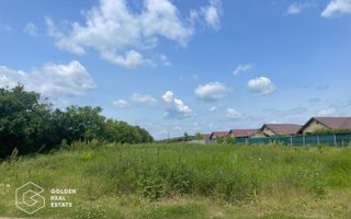 Teren intravilan, Balotești, Strada Cameliei 36, 10.000 mp - Poză 2