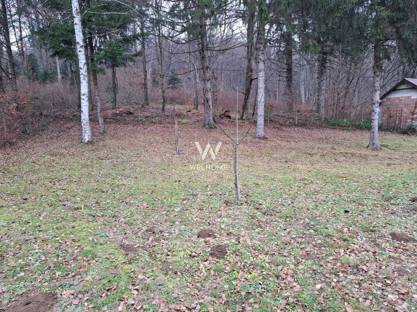 Teren 2000 mp, langa padure,  pe Valea Avrigului - Sibiu - Poză 3