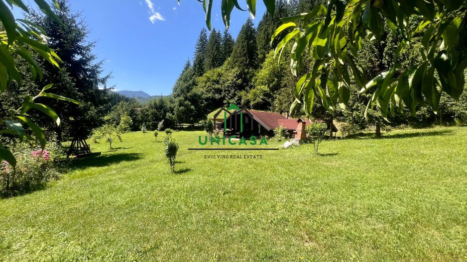 Proprietate deosebita de vanzare – Voinesița, Comuna Voineasa - Poză 5