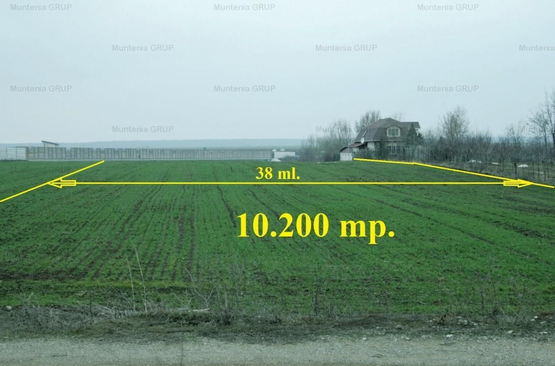 Moara Vlasiei, 5100 mp. teren intravilan, langa A3, toate utilitatile - Poză 5