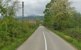 Teren de vanzare in Meziad. - Poză 5