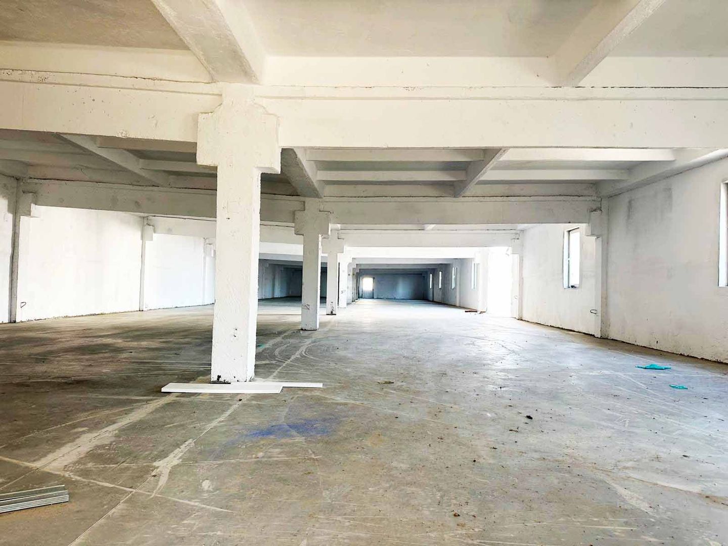 Inchiriere Hale Industriale în Aluniș, Arad  250 mp-1.500 mp - Poză 5