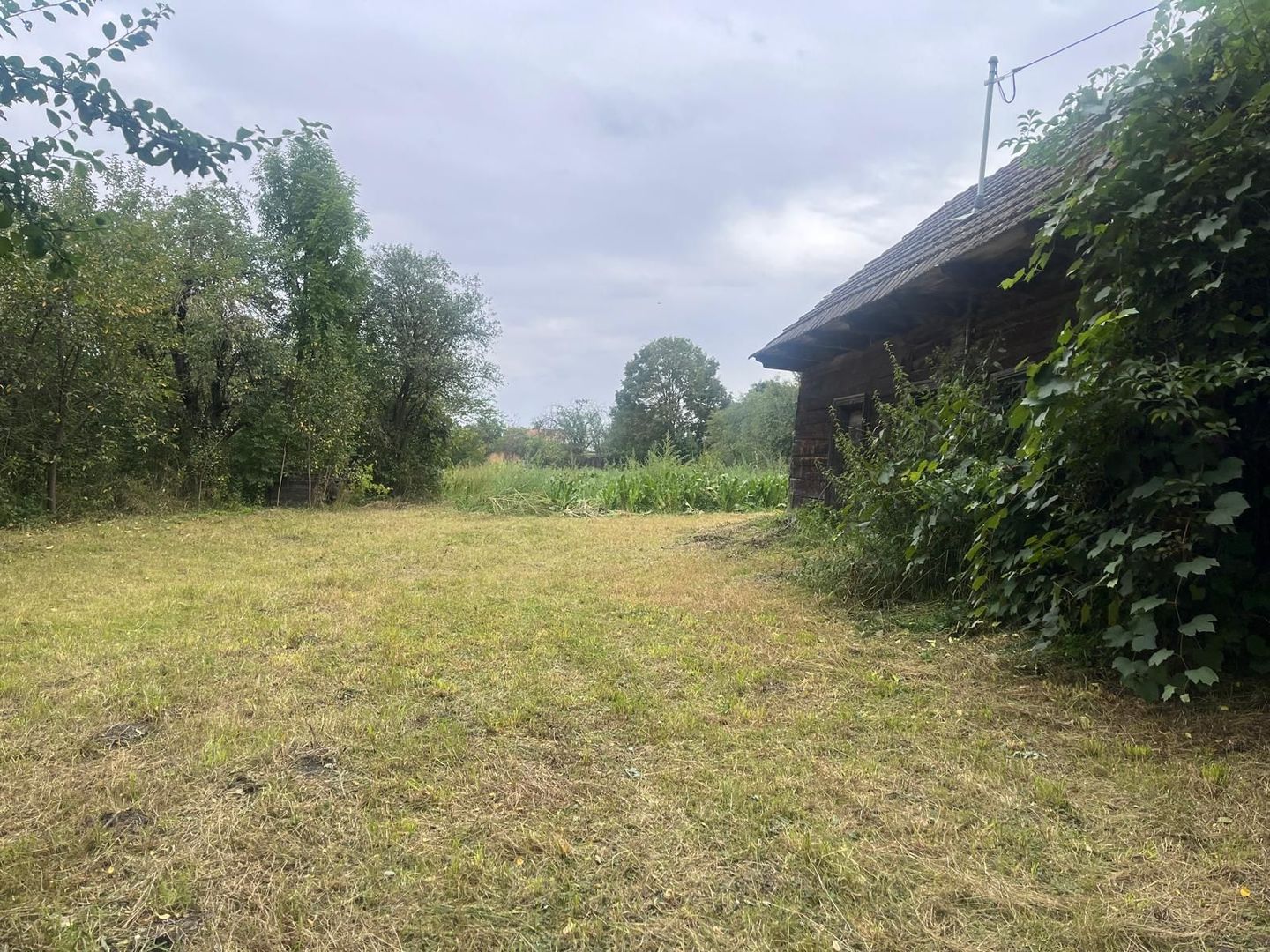 De vânzare teren intravilan, 2352 mp, Pachia, Covasna! - Poză 4