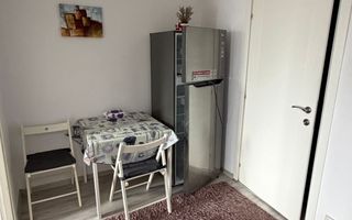 Spațioasă, mobilată, utilată, C. Brâncoveanu mini pet friendly - Poză 10