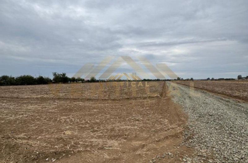 Teren Intravilan 500 mp, comuna Vidra - Poză 4