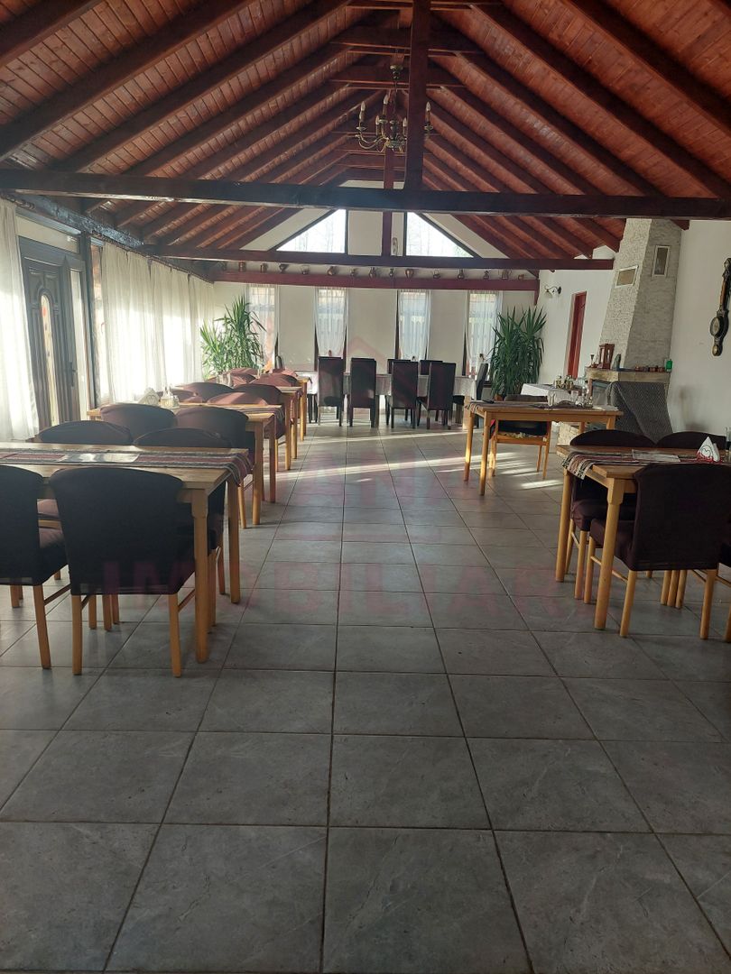 CASĂ\VILĂ DE VÂNZARE \COM. OBREJA\SAT IAZ\CARAȘ-SEVERIN - Poză 18