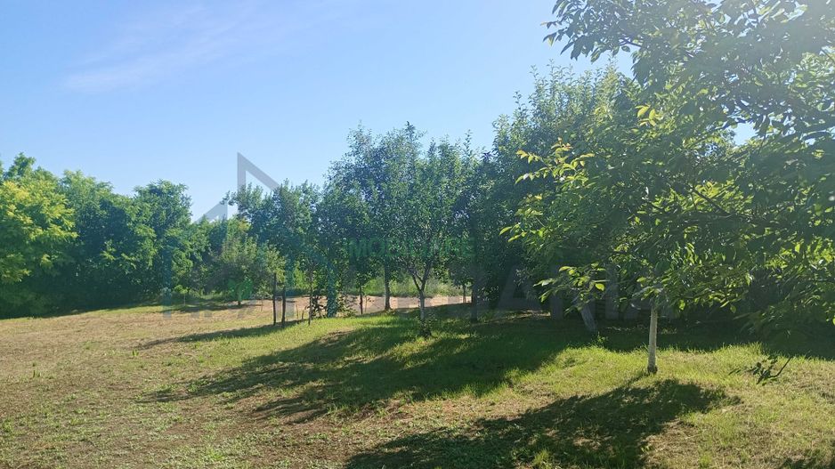 Teren intravilan în centrul localității Cârniceni - Poză 2