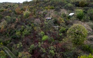 Teren 18,300mp Ghioroc - Poză 6