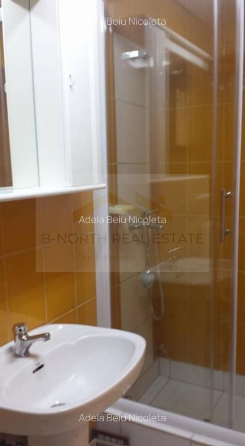 Apartament 4 camere de închiriat, 120 mp, vilă, ideal sediu firmă - Poză 8