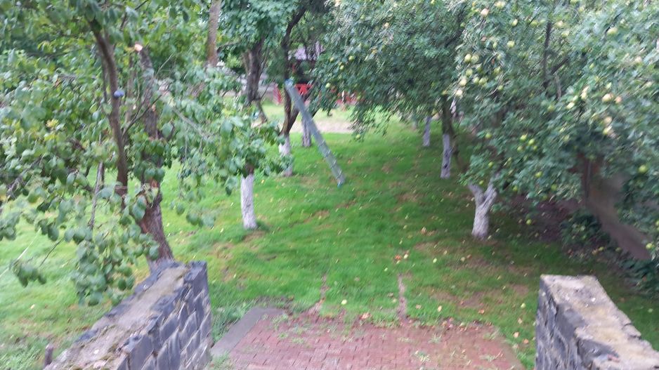 ageuropa.ro vinde casa 16 camere teren 1500mp in zona ULTRACENTRALA. - Poză 24