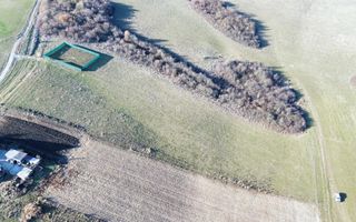 Teren | 651MP | Extravilan | Rusciori - Poză 9