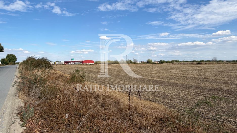 TEREN INTRAVILAN 4.750 MP | BORȘ | OPORTUNITATE DE INVESTIȚIE - Poză 1