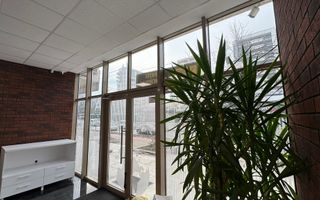 Spatiu la bulevard Nicolina - Rond vechi - Poză 6