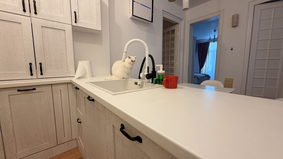 APARTAMENT 2 CAMERE | 64MP | CAPITALE - Poză 9