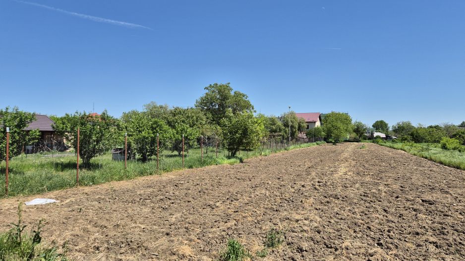 Teren intravilan 2658 mp - 1 Decembrie, Ilfov - Poză 4