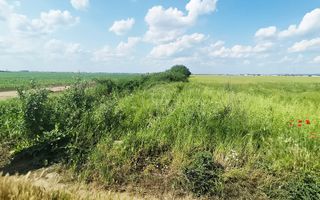 Teren intravilan de vânzare in Santandrei, Bihor - Poză 1