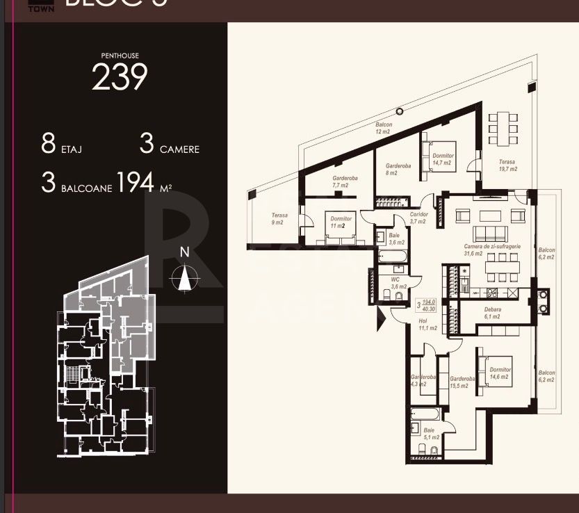 Vânzare  Penthouse 194 mp, strada Burebista, Ialoveni - Poză 13