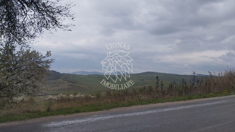 Teren 2100 mp-ideal casa de vacanta, investitie-Budacu de Jos - Poză 2