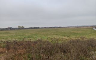 Teren 4588 mp, Remetea Mare Comision 0% - Poză 4