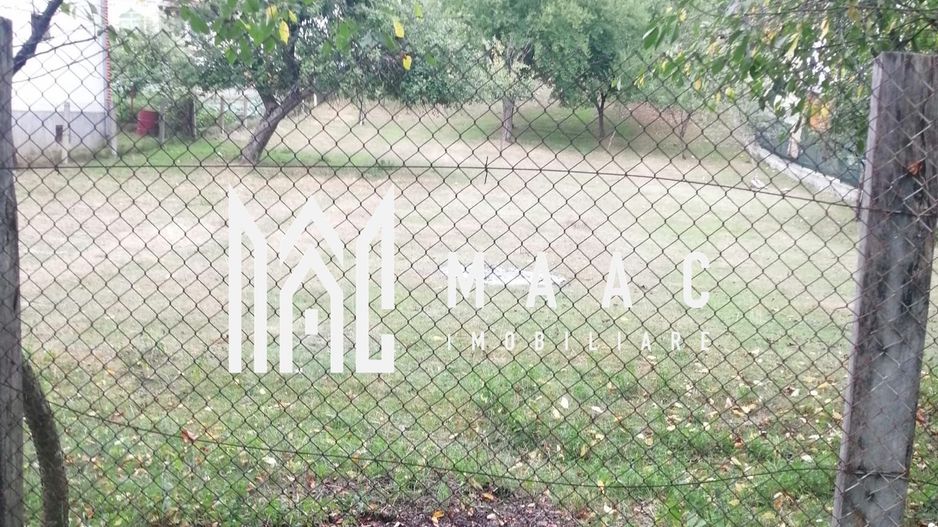 Teren Intravilan 10.000 mp | Livadă + Pădure de salcâm | Bărbătești - Poză 6