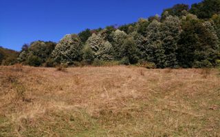 Teren Extravilan 20.000Mp I Stoenești -Vâlcea I Apă Curentă și Pădure - Poză 12