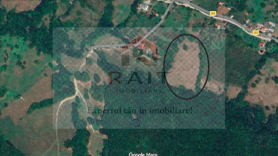 Teren extravilan de vânzare 11.740 mp Corbeni Turburea Argeș - Poză 3