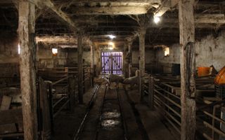 Ferma de Vânzare – Oportunitate Unică! - Poză 12