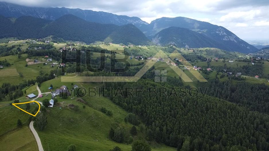 Oportunitate Investitie | Teren Pestera | 1.093mp | Utilitati Gaz/Curent | PUZ - Poză 5