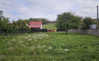 Casă de Vânzare în Albota, Sat Mareș – Liniște și Natură la Doar 10 Km - Poză 12