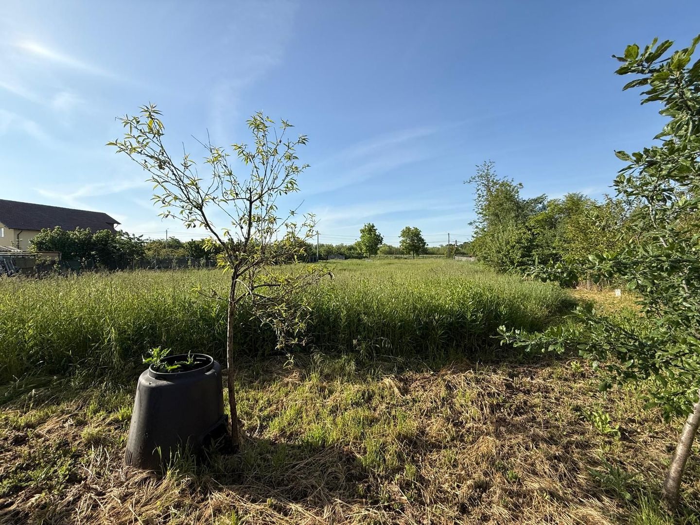 Teren de 3360 mp în exclusivitate, Sânmihaiu Român, vedere la Bega - Poză 1