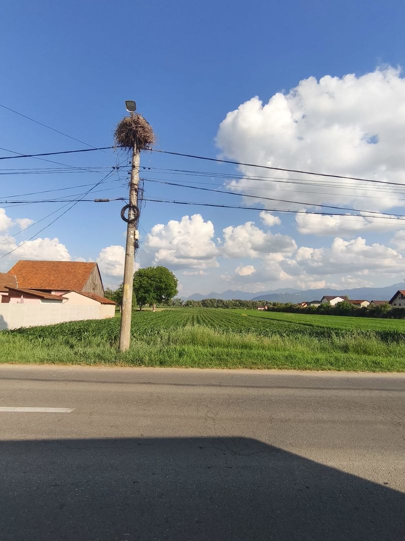 teren intravilan 700mp str. Fagurului, Stupini - Poză 6