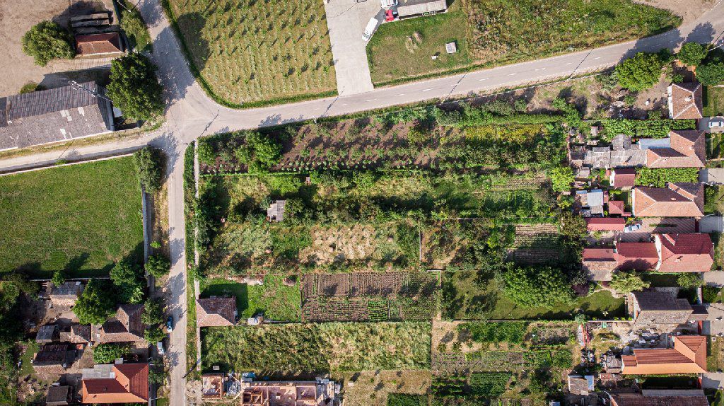 Loc de casă în Zimandul Nou - Poză 3