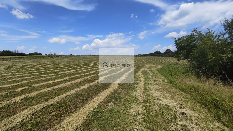 Teren de 11.000 mp cu casă și teren agricol | La 40 km de București | - Poză 10