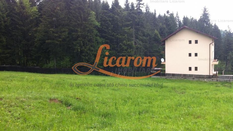 Teren intravilan Cotul Donului,pretabil Hotel/pensiune. - Poză 2