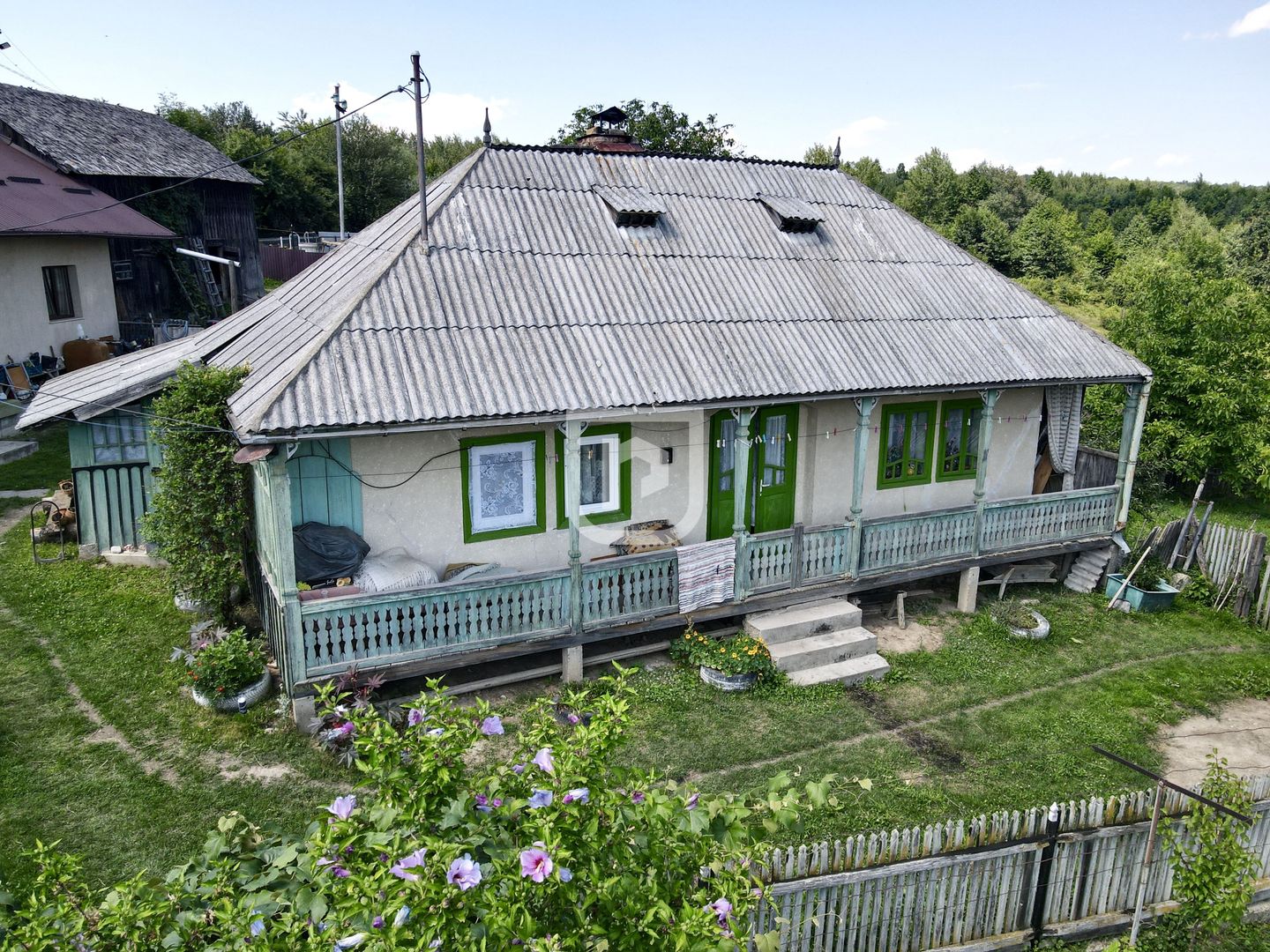 Ferma agricola, plantatii de mure, trandafiri, vita-de-vie - Poză 5