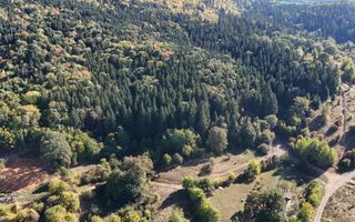 Aproape de Brașov, departe de agitație - Teren cu pădure în Cristian - Poză 10