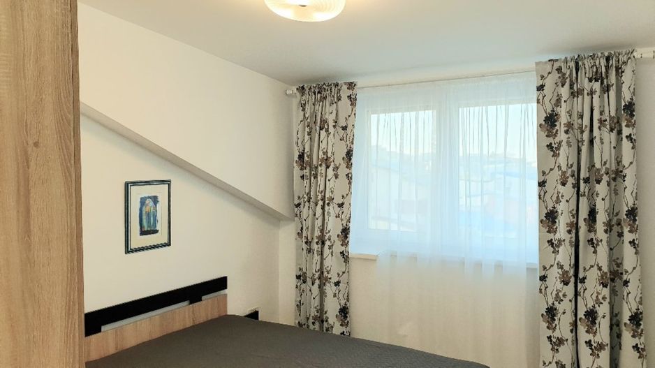 Ion Mihalache (1 Mai)- Ciuperca- Av Popisteanu- Expozitiei- Domenii - Poză 10