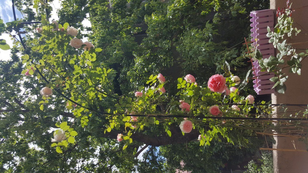 Apartament Floreasca 5 camere  proprietar, pozitie superba arhitectura unica - Poză 7