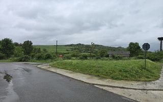 Teren intravilan de 2950 mp cu casă bătrânească în Comuna Brăești, Județul Iași - Poză 3