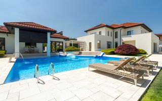 Vila Exclusivistă Domnești - Poză 1